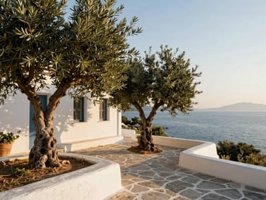 Bright sunny morning light on a white-washed cottage in Bodrum, olive trees on a stone terrace, Aegean sea in the background, warm editorial style