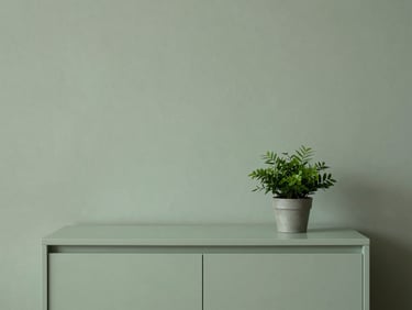 Minimalist interior of a modern cabinet, soft sage green wall, a single potted plant, natural light, serene atmosphere