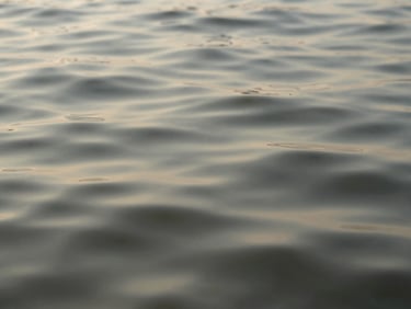 Soft ripples on a calm body of water, muted earth tones, shallow depth of field, serene and abstract