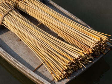 Overhead close-up of freshly harvested delta reeds bundled on a flat-bottomed boat deck, autumn light casting long shadows across the pale golden stalks, water visible at the frame edge, no people