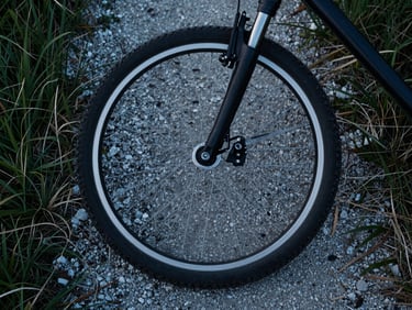 Overhead close-up of a bicycle wheel resting on a gravel delta path, early morning diffuse light, salt-marsh grass at the frame edge, no people visible