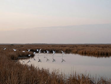 Wide wetland landscape at dusk, a flock of herons lifting from a shallow reed-edged lagoon pool to the left third, still water reflecting a pale sky, overcast diffuse light, vast flat horizon, no human subjects, environmental documentary framing