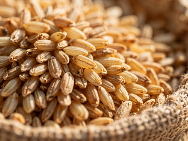Macro close-up of rough-textured unpolished heritage rice grains in a rustic jute sack, warm golden-hour sunlight highlighting the organic textures, shallow depth of field