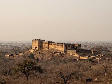 Wide overcast-light view of Ranthambore fort ruins rising above dry forest canopy, distant and atmospheric, no people, muted ochre tones