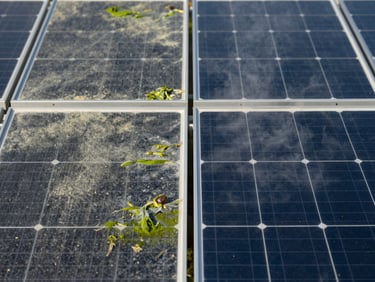 Split close-up of two adjacent solar panel sections under soft natural morning light: left half shows cells dulled by a grey-green algae and dust film, right half shows the same cells clean and reflective after steam treatment, equal lighting conditions, no glare, documentary framing that makes the contrast factual rather than dramatic