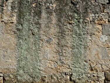 Wide shot of a Corsican stone facade streaked with grey-green biological growth and mineral staining under flat natural morning light, rough limestone texture visible across the full frame
