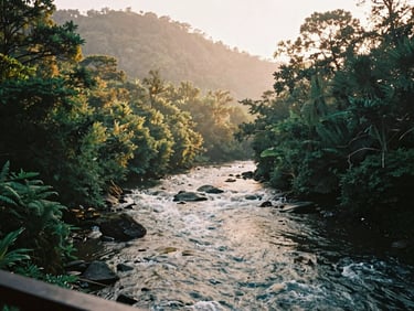 Misty morning view of a flowing river from a veranda, forested hills, golden light, warm editorial photography, 35mm film.