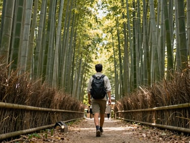 Medium lifestyle shot of a traveler walking through a serene bamboo forest in Japan, natural daylight, warm tones