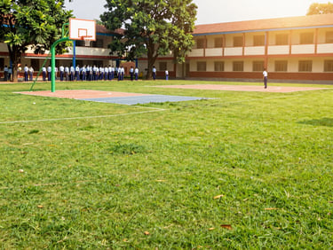 Clean outdoor school playground in India, green grass, basketball hoop, and painted play areas under bright afternoon sun