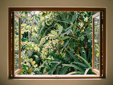 Lush green forest view seen through a large open window of Vista Mata apartment in Santa Teresa, warm daylight filtering through tropical leaves.