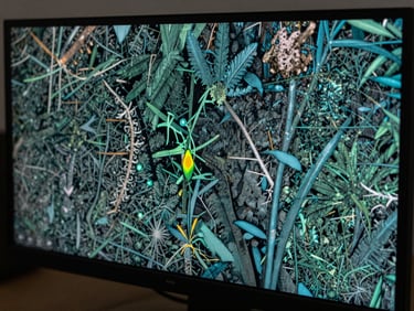 Close-up of a monitor displaying satellite multispectral band composite with vegetation index overlay, muted teal and charcoal tones, cool indoor lighting, no people visible, sharp pixel detail on screen