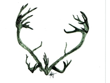ramure de caribou 6''X9'' 