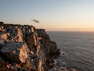 Soft golden hour light over a rugged coastal cliff, wind blowing a veil, raw textures of stone and sea, quiet solitude.