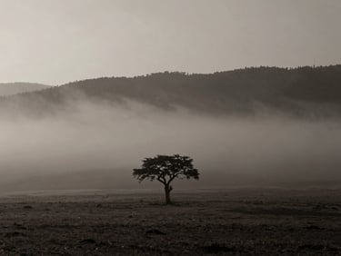 Moody fine art landscape of Ordu highlands covered in thick morning fog, minimalist composition, lonely tree silhouette, muted earth tones