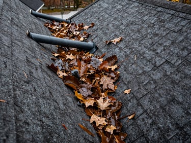 Wide overhead view of a residential roof valley packed with wet leaves and debris, overcast daylight, downspout partially blocked, shingle edges visible underneath