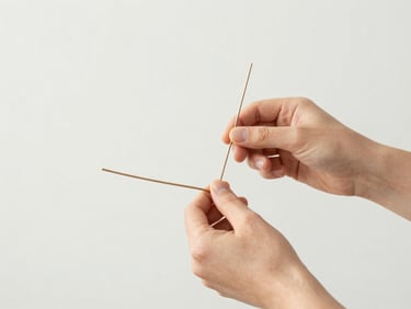 Bright editorial photography of hands assembling structural armatures from wire and natural elements, clean neutral backdrop, diffused natural daylight, 35mm.