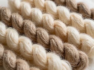 Extreme close-up photograph of different textures of hand-spun highland wool fibers, arranged in a gradient of natural cream, beige, and light charcoal tones. The fibers show clear texture and softness under soft, directional natural light. Warm editorial photography.