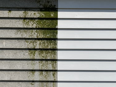 Split-screen before and after of home siding, left side covered in dark green algae, right side perfectly clean and sparkling under bright midday sun.