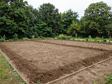 wide environmental shot of a completed garden clearance, clean soil and structured borders