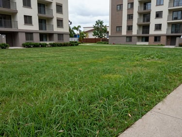 Wide environmental shot of a shared green area at a horizontal condominium in overcast natural daylight, maintained grass with concrete path edge visible, no people, documentary framing