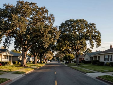 Wide environmental shot of Rocklin residential street at morning light, mature oak trees lining the road, quiet neighborhood feel, clear daylight, no posed subjects