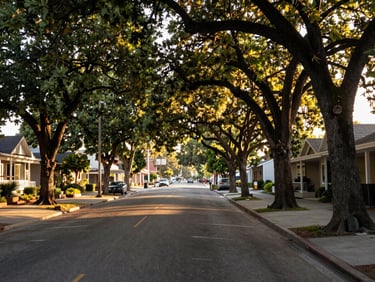 Wide morning street view of a Sacramento midtown neighborhood, mature oak trees lining a quiet block, warm golden daylight filtering through leaves, empty sidewalk showing residential character