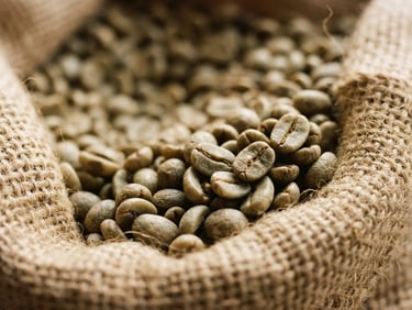 Macro close-up of raw green coffee beans in a jute sack, warm natural light, shallow depth of field, 35mm film.