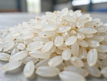 Macro close-up of raw Sona Masoori rice grains on a neutral industrial surface, bright natural light, sharp focus