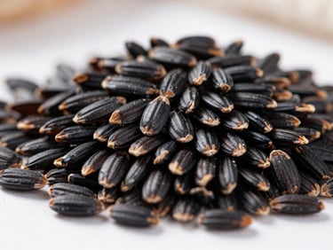 Macro close-up of raw black rice grains, deep obsidian color, high contrast, sharp focus, industrial documentary style.