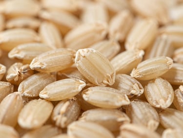 Macro close-up of raw brown rice grains, earthy tan color, intact bran layer, bright natural light.