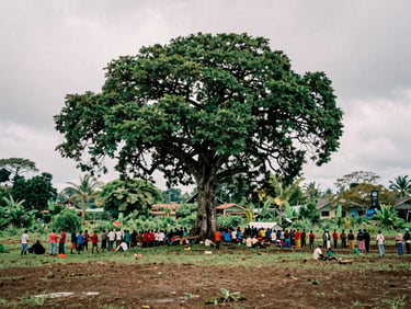 Wide environmental shot of a community gathering under a sacred tree in Mimika, natural overcast daylight, documentary photography style