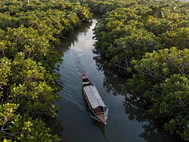 Wide drone shot of a community-led wooden patrol boat navigating a narrow mangrove channel in Ketapang, dense green canopy, early morning light.