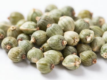 Macro shot of premium raw makhana seeds, clean white background, studio light