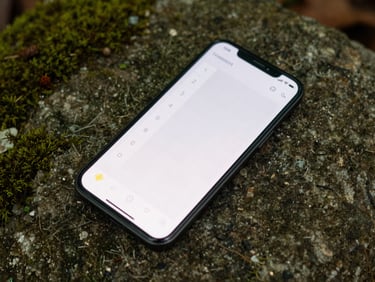 Overhead shot of an Android phone displaying a simple grid-based habit tracker, resting on a mossy stone surface, soft natural light.