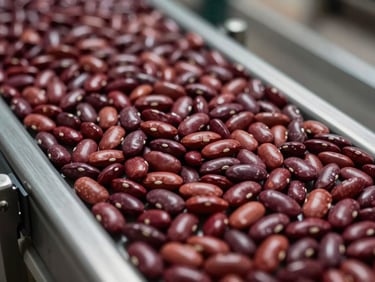 A clean, high-visibility macro shot of perfectly sorted dry red kidney beans on an industrial conveyor belt, uniform size and color.
