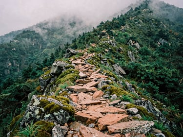 A steep rocky ridge path ascending into dense mountain clouds, deep green moss covering the stones, moody alpine atmosphere