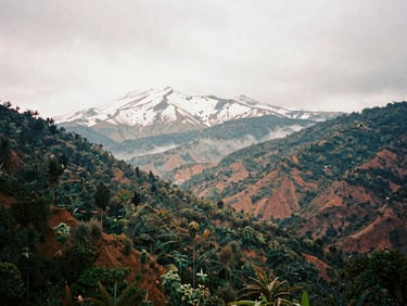 Wide-angle vista of snow-capped Rwenzori peaks rising above misty valleys, dramatic overcast lighting, 35mm film.