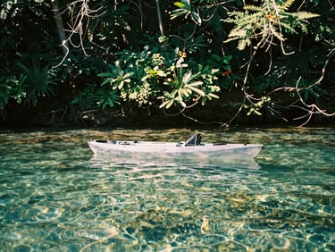Landscape shot of a clear kayak floating on crystal-clear spring water, lush underwater vegetation visible, filtered sunlight from overhead canopy, 35mm film