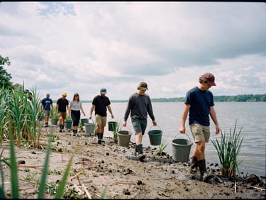 Candid documentary shot of volunteers in boots walking along a muddy Ohio lake shoreline under overcast daylight, holding buckets and planting native reeds, authentic 35mm film texture.