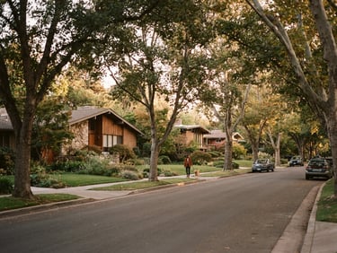 Quiet tree-lined neighborhood street with historic mid-century homes, soft golden-hour light filtering through mature oak trees, 35mm film style.
