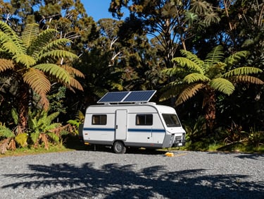 An off-grid caravan with solar panels mounted on top, parked on a gravel pad in a forest clearing near Rotorua, dappled sunlight filtering through native ferns.