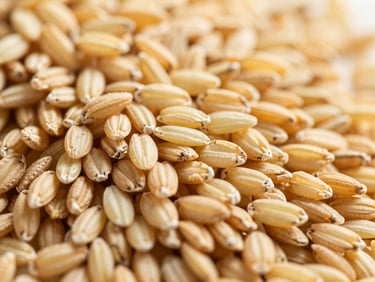 Close-up of Nàng Hoa rice grains, milled and polished, under clean, crisp lighting, warm gold tones, sharp depth of field.