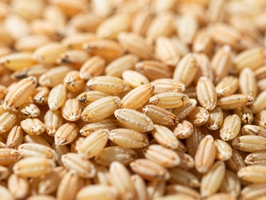 Close-up of premium ST25 rice grains, milled and polished, under clean, crisp lighting, warm gold tones, sharp depth of field.
