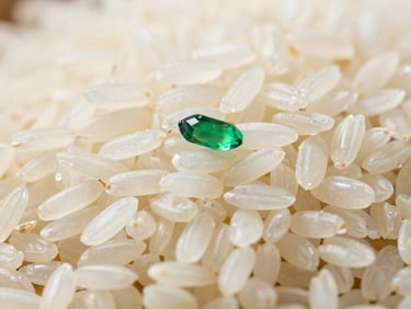 Close-up macro shot of long-grain white rice, uniform and opaque, sharp focus, bright natural light, on a light surface, editorial agricultural photography, rich emerald and warm gold tones, 35mm