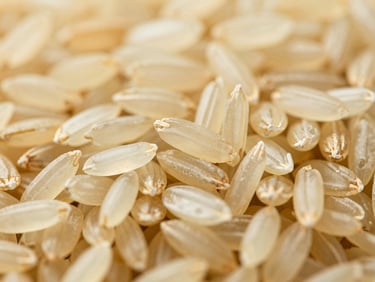 Close-up macro shot of Jasmine rice grains, slightly translucent and slender, sharp focus, bright natural light, on a warm gold background, editorial agricultural photography, rich emerald and warm gold tones, 35mm