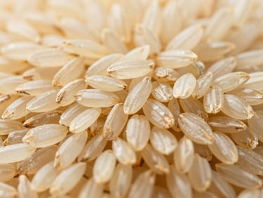 Close-up of high-quality Jasmine rice grains, milled and polished, under clean, crisp lighting, warm gold tones, sharp depth of field.