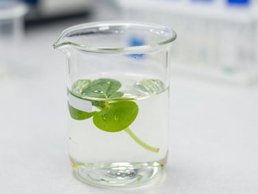 Organic bio-active liquid formulation being measured in a clear glass beaker, clean lab setting