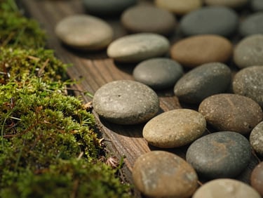Close-up of smooth warm river stones resting on a wooden surface beside green moss, soft dappled light, 35mm.