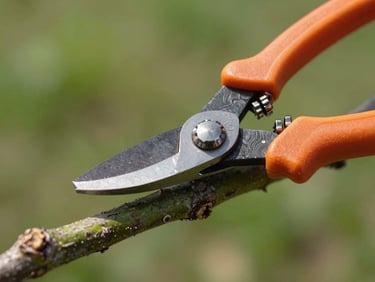 A close-up shot of professional garden shears making a clean, precise cut through a thick green branch. Sharp focus on the blade and wood texture under bright daylight.