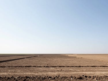 Minimalist landscape of a surveyed development plot, showing clean soil lines and natural daylight, eye-level perspective.